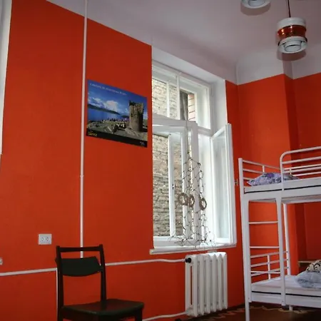 Hostel Teddy Bear *
