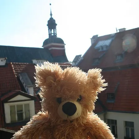Teddy Bear