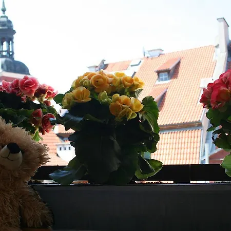 Teddy Bear Riga